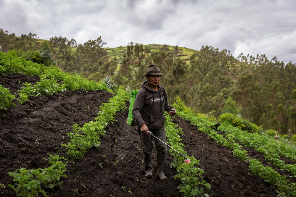Estuardo Espinosa Photographer: Karen Toro/Bloomberg Estuardo Espinosa Photographer: Karen Toro/Bloomberg