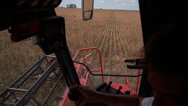 Mapa exportador de la Argentina: las provincias que más dólares aportaron al país en 2025 Mapa exportador de la Argentina: las provincias que más dólares aportaron al país en 2025