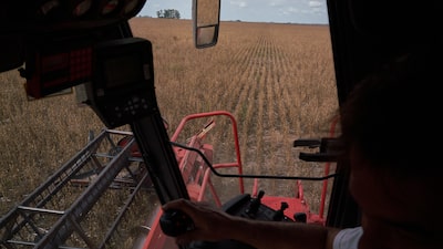 Mapa exportador de la Argentina: las provincias que más dólares aportaron al país en 2025 Mapa exportador de la Argentina: las provincias que más dólares aportaron al país en 2025