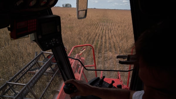 Mapa exportador de la Argentina: las provincias que más dólares aportaron al país en 2025 Mapa exportador de la Argentina: las provincias que más dólares aportaron al país en 2025