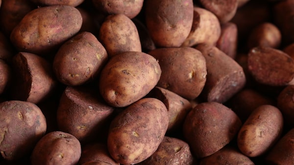 Empresa estadounidense de alimentos invertirá US$200 millones en Argentina Empresa estadounidense de alimentos invertirá US$200 millones en Argentina