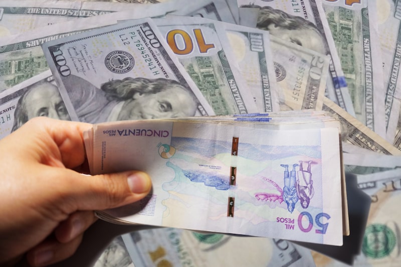 Estas son las monedas de América Latina que impulsan al grupo de divisas emergentes a máximos frente al dólar. Estas son las monedas de América Latina que impulsan al grupo de divisas emergentes a máximos frente al dólar.