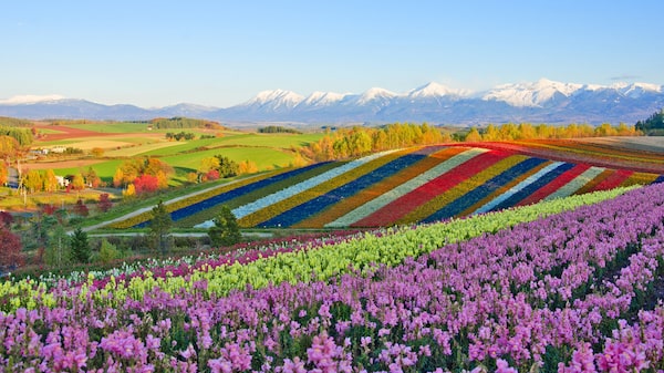 Cinco vacaciones tranquilas: pueblos relajantes y poco concurridos de Japón a Portugal Cinco vacaciones tranquilas: pueblos relajantes y poco concurridos de Japón a Portugal