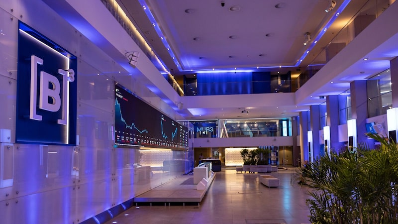 ‘Mais vidas que um gato’: ações brasileiras lideram aposta do Bradesco BBI em LatAm ‘Mais vidas que um gato’: ações brasileiras lideram aposta do Bradesco BBI em LatAm