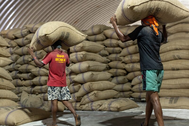 El cacao, el ingrediente clave para la confección de chocolate continúa en alza estableciendo nuevos récords antes de la Pascua. El cacao, el ingrediente clave para la confección de chocolate continúa en alza estableciendo nuevos récords antes de la Pascua.