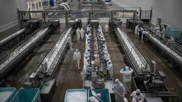 Primer Bono Especial noviembre 2023: monto y cuándo se paga Primer Bono Especial noviembre 2023: monto y cuándo se paga