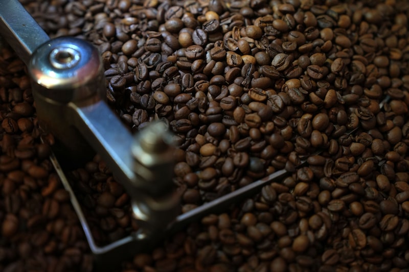 Lo que pide el sector cafetero para seguir exportando sin dificultades a Europa Lo que pide el sector cafetero para seguir exportando sin dificultades a Europa