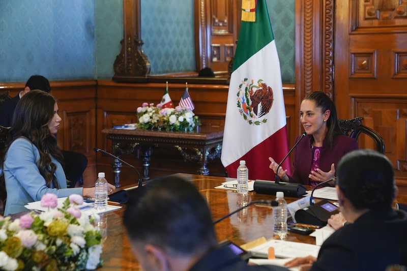 kristi-sheinbaum2 kristi-sheinbaum2