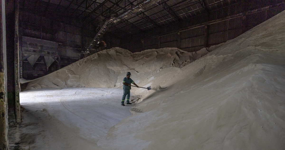 Precios de materias primas agrícolas suben en tercer trimestre