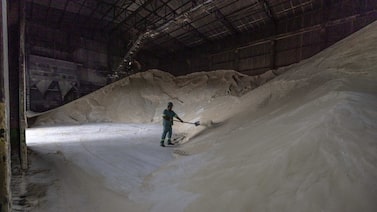Del azúcar a la madera: materias primas agrícolas que ganaron y perdieron en el tercer trimestre Del azúcar a la madera: materias primas agrícolas que ganaron y perdieron en el tercer trimestre