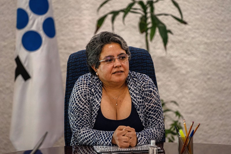 Tiene que ver con cómo desmotivar la creación de empresas fantasma y factureras, dijo Raquel Buenrostro. Tiene que ver con cómo desmotivar la creación de empresas fantasma y factureras, dijo Raquel Buenrostro.