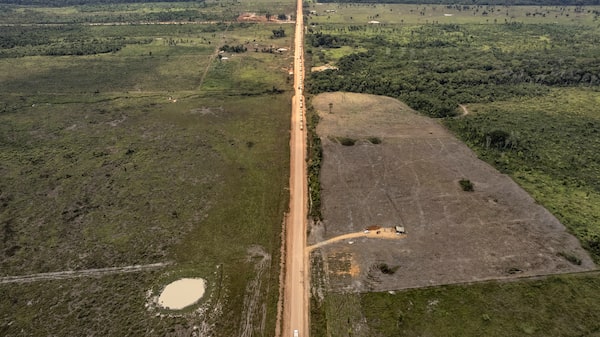 Carretera de 885 km en la Amazonía pone en juego el futuro climático de Brasil en las elecciones Carretera de 885 km en la Amazonía pone en juego el futuro climático de Brasil en las elecciones
