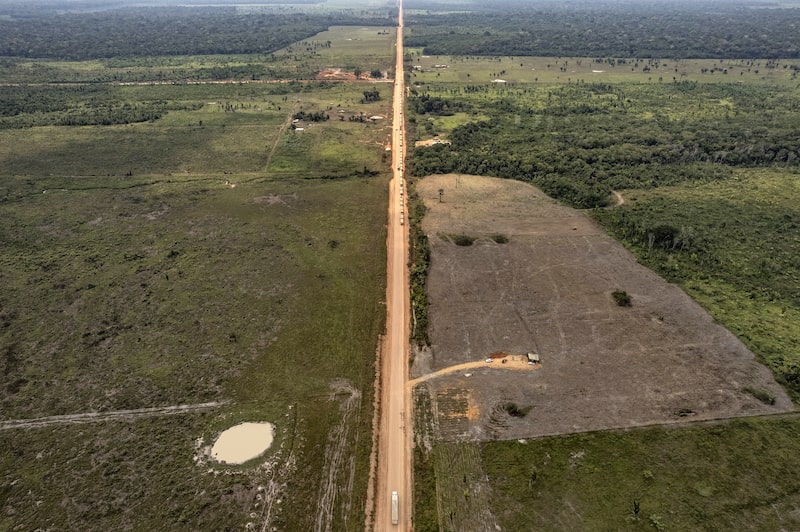Amazonias Amazonias