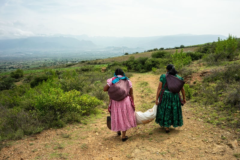 Fue en 1975 -Año Internacional de la Mujer- cuando las Naciones Unidas adoptaron oficialmente el 8 de marzo como la fecha para celebrarlo. Fue en 1975 -Año Internacional de la Mujer- cuando las Naciones Unidas adoptaron oficialmente el 8 de marzo como la fecha para celebrarlo.