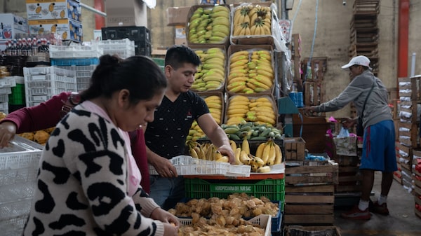 Inflación en Perú se sigue desacelerando: en agosto acumuló su séptimo mes en baja Inflación en Perú se sigue desacelerando: en agosto acumuló su séptimo mes en baja