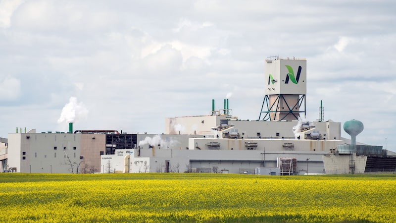 Nutrien vende fatia em empresa da Argentina em estratégia para focar no Brasil Nutrien vende fatia em empresa da Argentina em estratégia para focar no Brasil