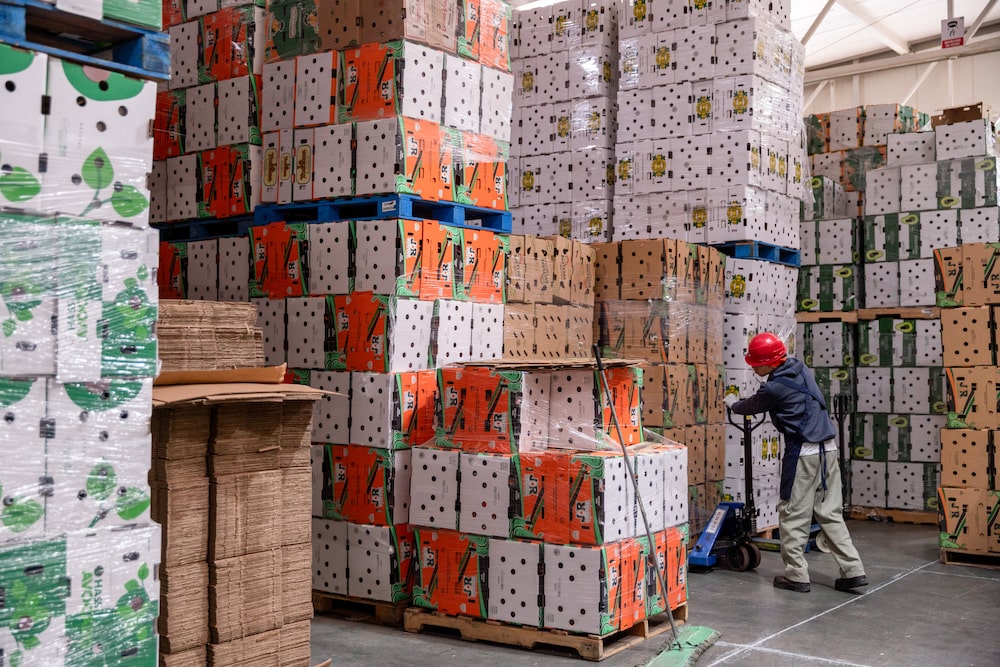 A worker arranges cases of avocados from various clients at an avocado packaging facility in Uruapan, Michoacan state, Mexico, on Tuesday, March 18, 2025. US President Donald Trump this month imposed 25% tariffs on goods from Mexico and Canada, but then gave a reprieve until April 2 on items that fall under the North American trade agreement. Photographer: Stephania Corpi/Bloomberg A worker arranges cases of avocados from various clients at an avocado packaging facility in Uruapan, Michoacan state, Mexico, on Tuesday, March 18, 2025. US President Donald Trump this month imposed 25% tariffs on goods from Mexico and Canada, but then gave a reprieve until April 2 on items that fall under the North American trade agreement. Photographer: Stephania Corpi/Bloomberg