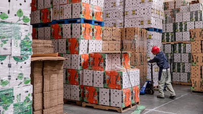 Trump aumentará el arancel al 15% “cuando sea apropiado”: representante comercial de EE.UU. Trump aumentará el arancel al 15% “cuando sea apropiado”: representante comercial de EE.UU.