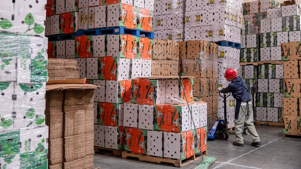 Trump aumentará el arancel al 15% “cuando sea apropiado”: representante comercial de EE.UU. Trump aumentará el arancel al 15% “cuando sea apropiado”: representante comercial de EE.UU.