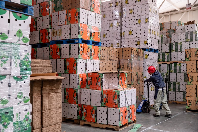 A worker arranges cases of avocados from various clients at an avocado packaging facility in Uruapan, Michoacan state, Mexico, on Tuesday, March 18, 2025. US President Donald Trump this month imposed 25% tariffs on goods from Mexico and Canada, but then gave a reprieve until April 2 on items that fall under the North American trade agreement. Photographer: Stephania Corpi/Bloomberg A worker arranges cases of avocados from various clients at an avocado packaging facility in Uruapan, Michoacan state, Mexico, on Tuesday, March 18, 2025. US President Donald Trump this month imposed 25% tariffs on goods from Mexico and Canada, but then gave a reprieve until April 2 on items that fall under the North American trade agreement. Photographer: Stephania Corpi/Bloomberg