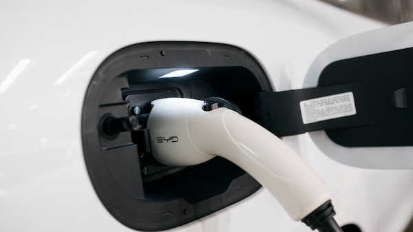 El boom de los carros eléctricos en Colombia: BYD lidera el mercado y en 2025 duplicó su crecimiento El boom de los carros eléctricos en Colombia: BYD lidera el mercado y en 2025 duplicó su crecimiento