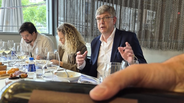 Sem CEO e com caixa pressionado, Berkmann revê estratégia para vinhos premium no Brasil Sem CEO e com caixa pressionado, Berkmann revê estratégia para vinhos premium no Brasil