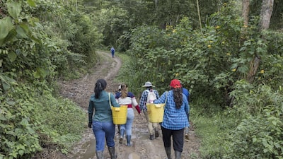 Del grano a la taza: mujeres luchan por un lugar en el negocio del café en Colombia Del grano a la taza: mujeres luchan por un lugar en el negocio del café en Colombia