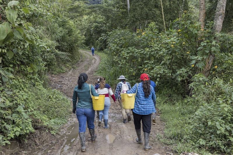 Del grano a la taza: mujeres luchan por su lugar en el negocio del café en Colombia Del grano a la taza: mujeres luchan por su lugar en el negocio del café en Colombia