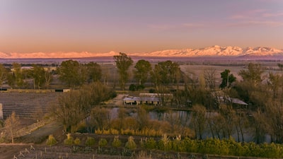 Vino Kosher en Argentina: así opera la bodega líder y cuáles son sus planes de expansión Vino Kosher en Argentina: así opera la bodega líder y cuáles son sus planes de expansión