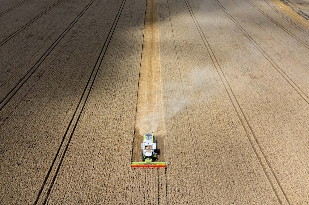 Una trilladora cosecha un campo de trigo en una granja en Leves, Eure et Loir, Francia, el miércoles 12 de julio de 2023. Una trilladora cosecha un campo de trigo en una granja en Leves, Eure et Loir, Francia, el miércoles 12 de julio de 2023.