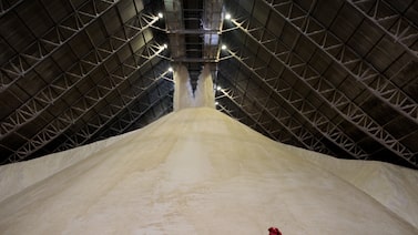 Brasil deja al mercado mundial del azúcar con menos información sobre su cosecha y producción Brasil deja al mercado mundial del azúcar con menos información sobre su cosecha y producción
