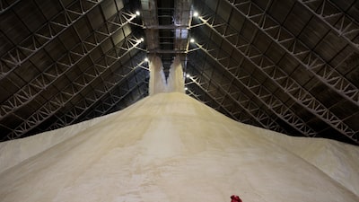 Brasil deja al mercado mundial del azúcar con menos información sobre su cosecha y producción Brasil deja al mercado mundial del azúcar con menos información sobre su cosecha y producción