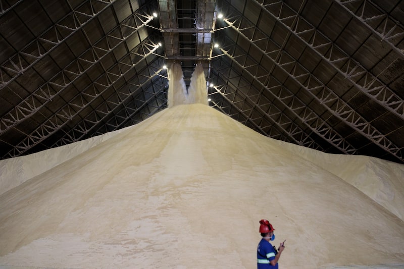 Azúcar dentro de una instalación de almacenamiento en el puerto de Santos, en Brasil. Foto: Patricia Monteiro/Bloomberg Azúcar dentro de una instalación de almacenamiento en el puerto de Santos, en Brasil. Foto: Patricia Monteiro/Bloomberg