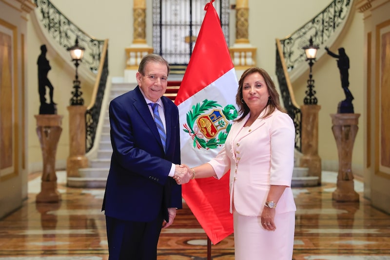 El opositor venezolano Edmundo González y la presidenta de Perú, Dina Boluarte. El opositor venezolano Edmundo González y la presidenta de Perú, Dina Boluarte.