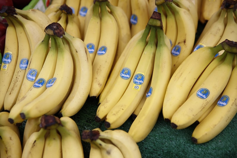 Racimos de bananos Chiquita se exponen a la venta en un puesto de frutas y verduras de un mercado al aire libre. Racimos de bananos Chiquita se exponen a la venta en un puesto de frutas y verduras de un mercado al aire libre.