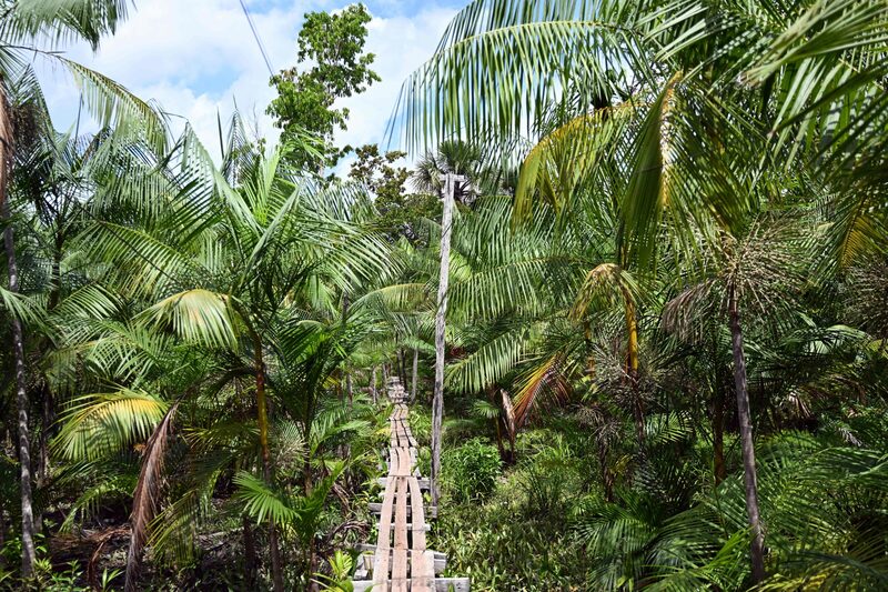La mayor economía de América Latina vendió US$4.500 millones en bonos en enero y en noviembre vendió US$2.000 millones en bonos de sostenibilidad La mayor economía de América Latina vendió US$4.500 millones en bonos en enero y en noviembre vendió US$2.000 millones en bonos de sostenibilidad