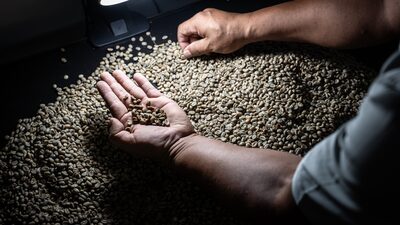 El café alcanza precios récord y no bajará pronto pese a caída de los granos El café alcanza precios récord y no bajará pronto pese a caída de los granos