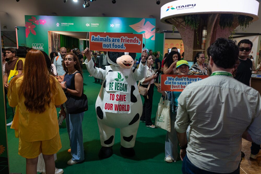 Manifestantes durante a cúpula climática COP30 em Belém, estado do Pará, Brasil, em 10 de novembro. (Foto: Alessandro Falco/Bloomberg) Manifestantes durante a cúpula climática COP30 em Belém, estado do Pará, Brasil, em 10 de novembro. (Foto: Alessandro Falco/Bloomberg)