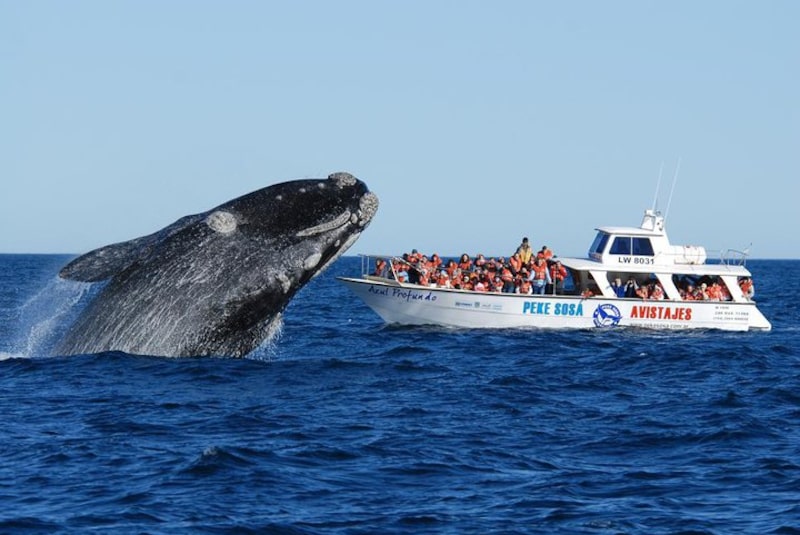 Foto: Argentina Visión Foto: Argentina Visión