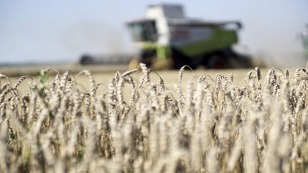 Guerra na Ucrânia traz ganhos para tradings de commodities Guerra na Ucrânia traz ganhos para tradings de commodities