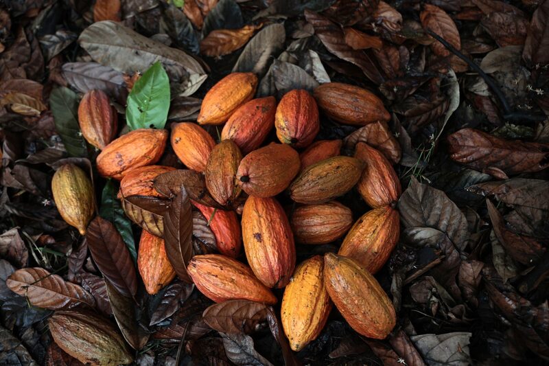 Vendas no semestre da empresa cresceram 50%, apesar de incertezas climáticas que impactam principais polos produtivos de café e cacau (Foto: Dado Galdieri/Bloomberg) Vendas no semestre da empresa cresceram 50%, apesar de incertezas climáticas que impactam principais polos produtivos de café e cacau (Foto: Dado Galdieri/Bloomberg)