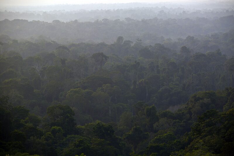 Brasil prepara debut de bono ASG en próxima venta internacional Brasil prepara debut de bono ASG en próxima venta internacional