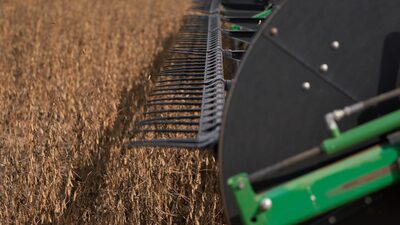 Redução de imposto sobre grãos atrai US$ 7 bi para a Argentina e repõe reservas Redução de imposto sobre grãos atrai US$ 7 bi para a Argentina e repõe reservas