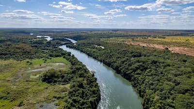 Arauco aposta na maior fábrica de celulose do mundo no Brasil para driblar incertezas Arauco aposta na maior fábrica de celulose do mundo no Brasil para driblar incertezas