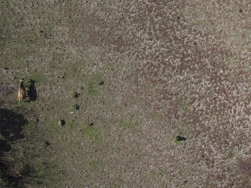 Fazendas como esta em Pasaquina, El Salvador, têm enfrentado anos de seca, algo que tem se agravado nos últimos anos (Foto: Camilo Freedman/Bloomberg) Fazendas como esta em Pasaquina, El Salvador, têm enfrentado anos de seca, algo que tem se agravado nos últimos anos (Foto: Camilo Freedman/Bloomberg)