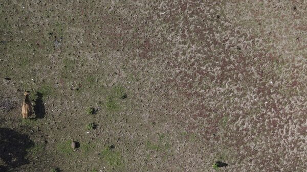 Como satélites se tornaram uma solução para agricultores lidarem com o clima Como satélites se tornaram uma solução para agricultores lidarem com o clima