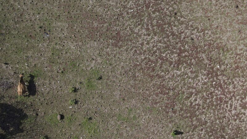 Como satélites se tornaram uma solução para agricultores lidarem com o clima Como satélites se tornaram uma solução para agricultores lidarem com o clima