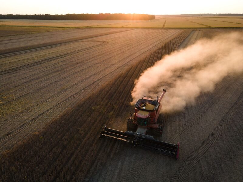dados do governo dos EUA do final de julho mostram que o país asiático se absteve de reservar qualquer carga para a próxima safra, que começa em setembro (Foto: Rory Doyle/Bloomberg) dados do governo dos EUA do final de julho mostram que o país asiático se absteve de reservar qualquer carga para a próxima safra, que começa em setembro (Foto: Rory Doyle/Bloomberg)