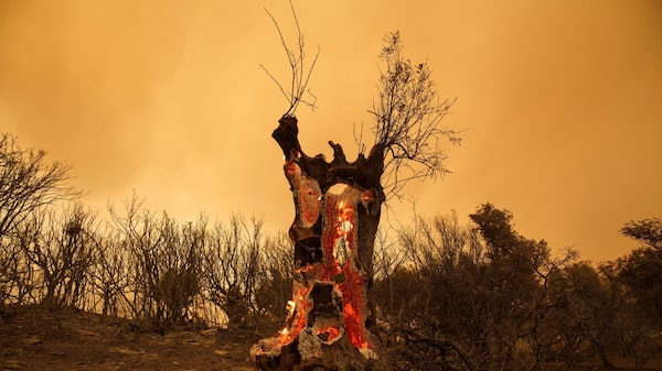 Desastres climáticos más caros 2023: cuáles fueron en LatAm y cuánto pagó la población Desastres climáticos más caros 2023: cuáles fueron en LatAm y cuánto pagó la población