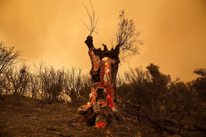 Desastres climáticos más costosos del 2023: ¿cuál es impacto económico por cada habitante? Desastres climáticos más costosos del 2023: ¿cuál es impacto económico por cada habitante?